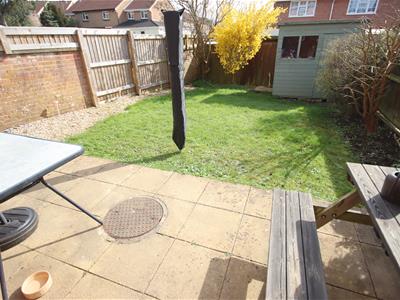 Picture 14